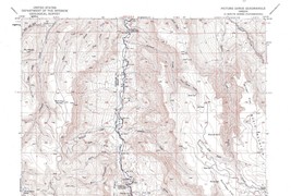 Picture Gorge Quadrangle Oregon 1953 Topo Map USGS 15 Minute Topographic - $21.99