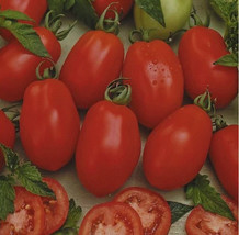 Tomato Rio Grande Paste Determinate 30 Seeds Organic - $9.98