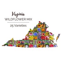 FA Store 1000 Seeds Wildflower Virginia State Mix Perennials &amp;Annuals 25... - £7.96 GBP