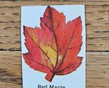 Postal Seal &quot;Red Maple&quot; Leaf Used Cutout Vintage Fall Autumn - £0.73 GBP