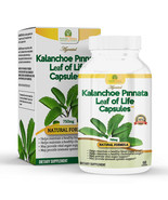Capsulas Antioxidantes de Kalanchoe Pinnata-Siempreviva (Bryophyllum Pin... - £23.59 GBP