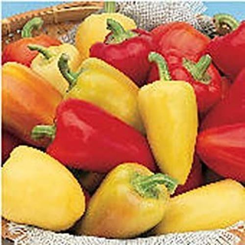 PM Antohi Romanian Sweet Peppers Seeds (20+ Seeds) | Non GMO | Vegetable... - $3.98