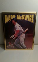 Mark McGwire St. Louis Cardinals Baseball Framed Picture 2000 Official M... - £11.15 GBP