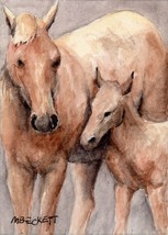 Aceo original painting horse foal animals pets farm equine baby  fillyl web thumb200
