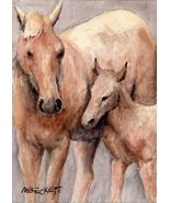 ACEO Original Painting Horse Foal animals pets farm equine baby  filly - £12.60 GBP