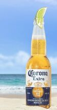 Corona Extra Light Imported Beer Advertising Metal  Sign 8x12in  Coors 51i - $34.72 CAD
