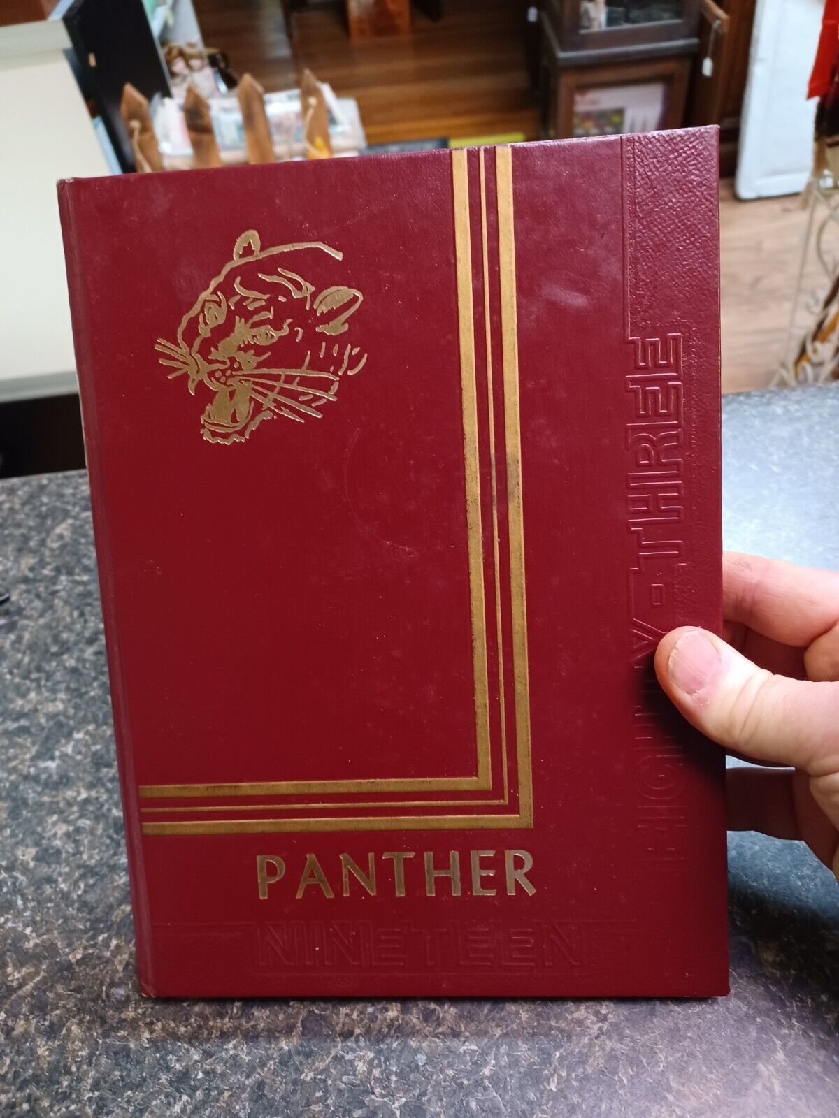 1983 Portville NY High School Yearbook Panther - $19.79