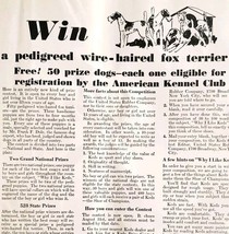 1930 Keds Shoes Sneakers Wire Haired Fox Terrier Advertisement Dogs Priz... - $29.99