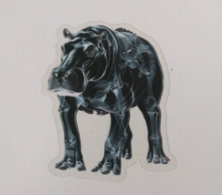Hippo X-Ray Transparent Sticker 2.25&quot; x 1.75&quot; (AV) - $1.64