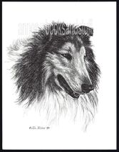 332 SABLE COLLIE  dog art print portrait * Pen and ink drawing by Jan Je... - $12.50