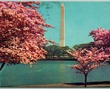 Washington Monument Washington DC Chrome Postcard H14 - $3.51