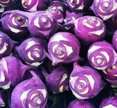 Kohlrabi Seeds 300 Purple Vienna Vegetable Garden Culinary From Us  - $7.00