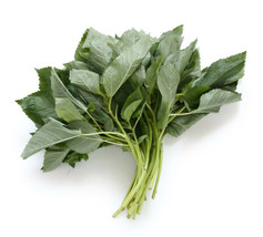 1000+ Molokhia Egyptian Spinach Seedsrau Daysaluyot Heirloom NonGMO - £7.86 GBP