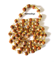 RUDRAKSHA WITH GOLD PLATED CAP MALA 5 MUKHI FACE RUDRAKSH BEADS ENERGIZED - £7.58 GBP