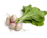 650+ Turnip Green Seeds (Purple Top White Globe) NON-GMO Heirloom Vegeta... - $2.93