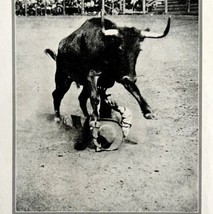 1921 Fight to the Finish Rodeo Bucking Bull Round Ups Cowboy Photo Print DWN8C - £23.59 GBP