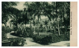 Royal Palm and Grounds Miami Florida Black &amp; White Postcard - £7.71 GBP