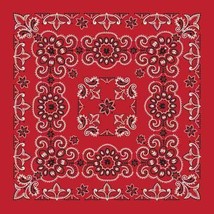 Carolina Creative Bandanna (Red) Texas Paisley 27&quot; x 27&quot; Hav-A-Hank - $7.90