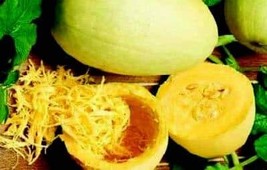 G_S Vegetable Spaghetti Winter Squash Seeds - $8.39