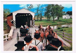 Pennsylvania Postcard Amish Boys Watching Girls Belgian Horses - $2.14