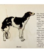 Borzoi Russian Wolfhound 1939 Dog Breed Art Ole Larsen Color Plate Print... - €26,04 EUR