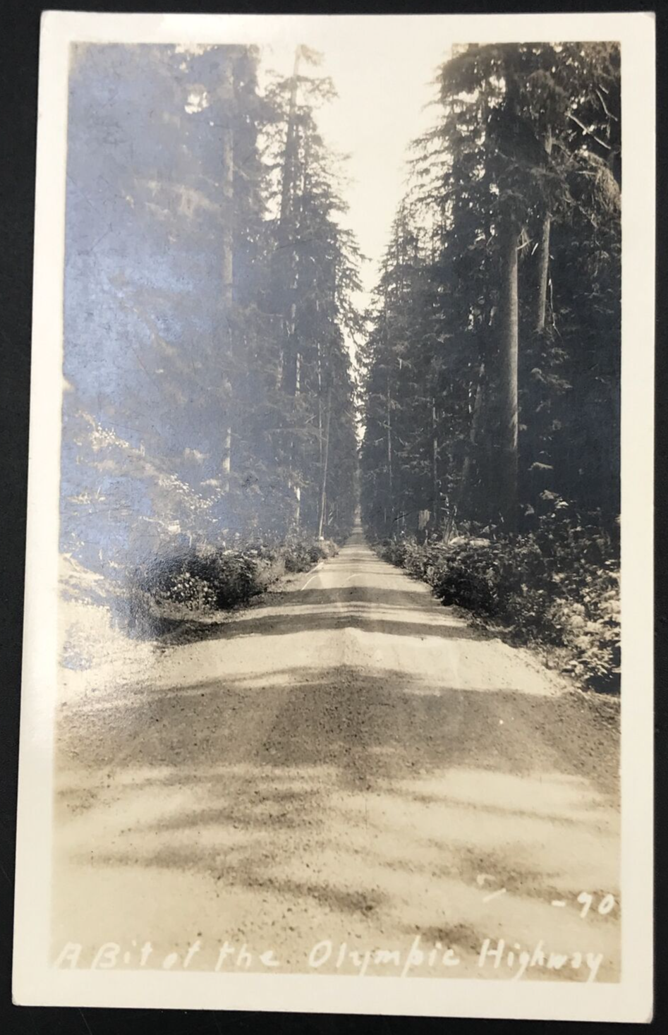 Primary image for 1904-1950 EKKP RPPC A Bit of the Olympic Highway Washington WA Photo Postcard