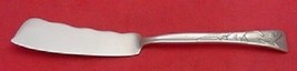 Lap Over Edge Acid Etched By Tiffany Sterling Master Butter Knife FH Dragonfly - $701.91