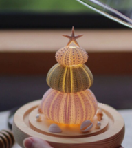 Lovely shell sea urchin night light with glass cover,creative desktop decoration - £43.49 GBP
