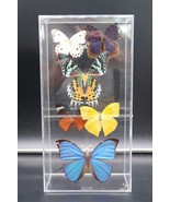 Vtg Sam Trophia Signed 6 Mounted Butterfly Display Sealed Acrylic 3D Sha... - $245.15 CAD
