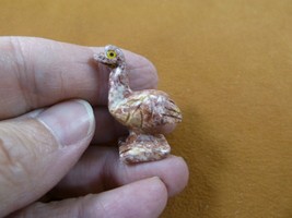 Y-OST-31) little red white OSTRICH SOAPSTONE figurine PERU bird I love o... - £6.75 GBP