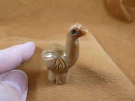 Y-OST-22) little tan OSTRICH carving SOAPSTONE PERU gem FIGURINE bird os... - $8.59