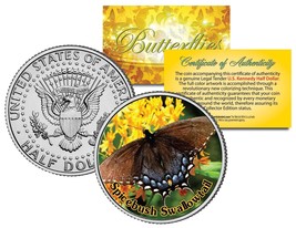 SPICEBUSH SWALLOWTAIL BUTTERFLY JFK Kennedy Half Dollar US Colorized Coin - $8.56