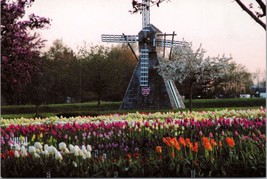 Veldheer Tulip Garden Holland MI Postcard PC398 - £3.97 GBP