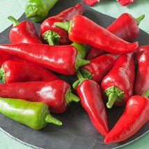 Fresno Chili Hot Pepper Seeds Fast Shipping - $13.29