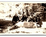 RPPC Elk Killed By Cougar in Olympic Mountains Washington WA UNP Postcar... - $24.70