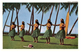 Hula Dancers in Grass Skirts w Palm Trees Surf Board Hawaii Postcard - £7.74 GBP