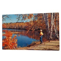 Postcard Birchmuir Lodge Stony Lake The Kawarthas Ontario Canada Chrome Posted - $6.92