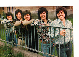 Osmonds Donny Osmond teen magazine pinup clipping on a short fence by the grass - £2.74 GBP