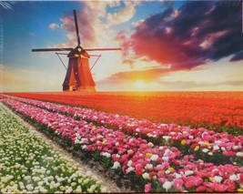 Educa Tulips Landscape 1500 pc Jigsaw Puzzle Holland Flowers Windmill - $26.72