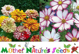 Grow In US 100 Seeds Candy Striped Mix Zinnia &amp; Cosmos Heat Lovers Butterflies - £8.16 GBP