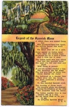 Florida Postcard Legend of Spanish Moss Tropical Florida Series - £1.71 GBP