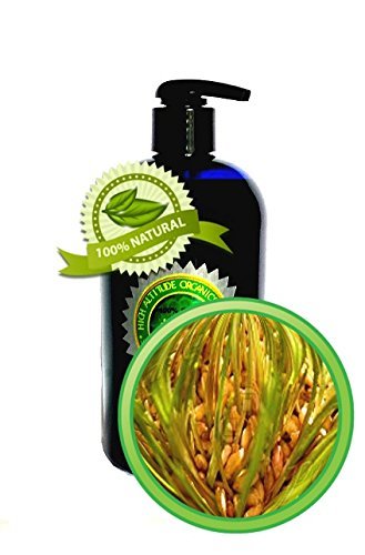 Wheat Germ Oil - 16oz - Virgin, Cold-pressed