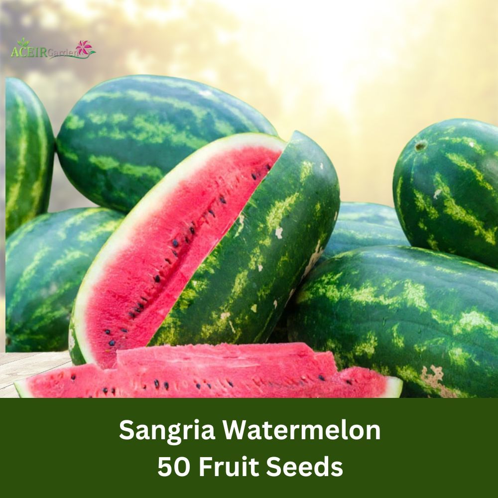 50 Sangria Watermelon Seeds – Juicy, Deep Red Flesh, Ultra-Sweet – High ... - $11.90