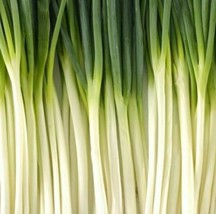 Tokyo Long White Bunching Onion Seeds 200 Vegetable Salad Home Garden - $5.85