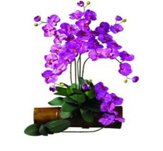 31.5 in. H Orchid Phalaenopsis Stem - Set of 12 - £153.68 GBP