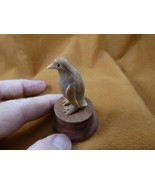 (TB-PENG-3) little tan Penguin shed ANTLER figurine Bali detailed ice bird - $65.19 CAD
