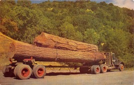 THESE LITTLE LOGS GO TO MARKET~TRUCK LOADED WITH logs POSTCARD 1960s - $8.66