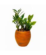Catleza Small Planter Pot for Indoor and Outdoor Suitable for Plants, He... - $907.11 MXN