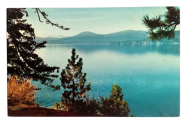 Lake Tahoe North Shore Pines California UNP Mirro Krome Frasher Postcard c1950s - £5.58 GBP