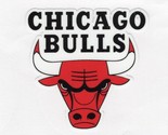 Chicago Bulls decal window helmet hard hat laptop up to 14&quot; Free Tracking - $2.99+